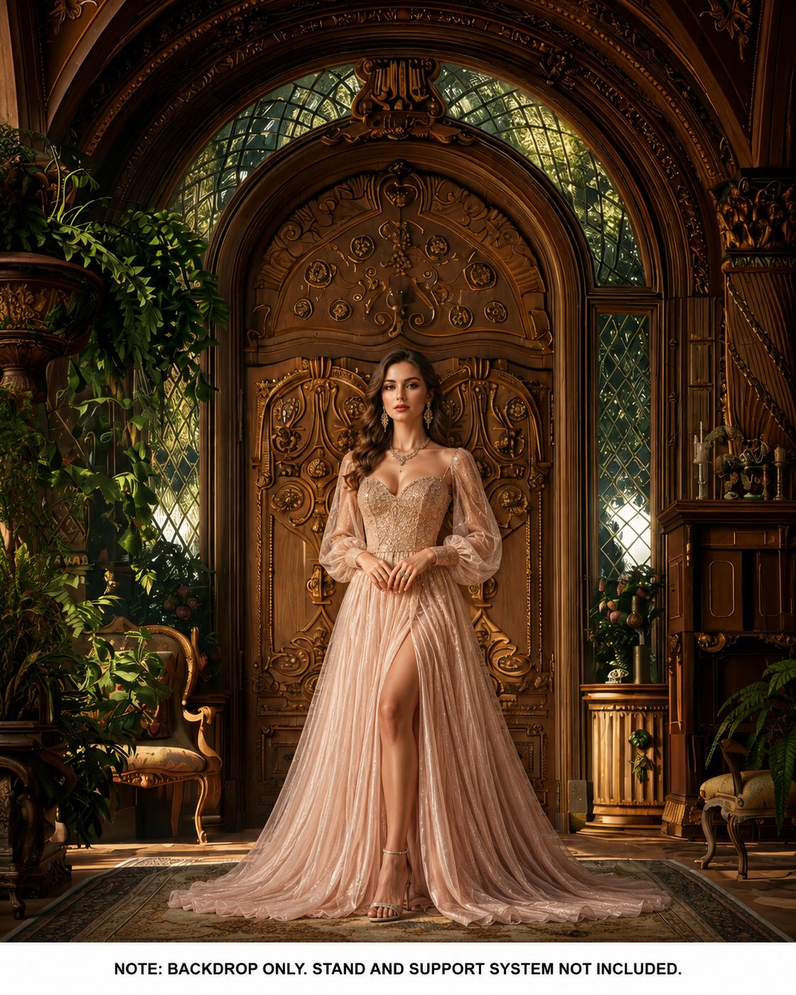 Classic Wooden Door Interior Backdrop