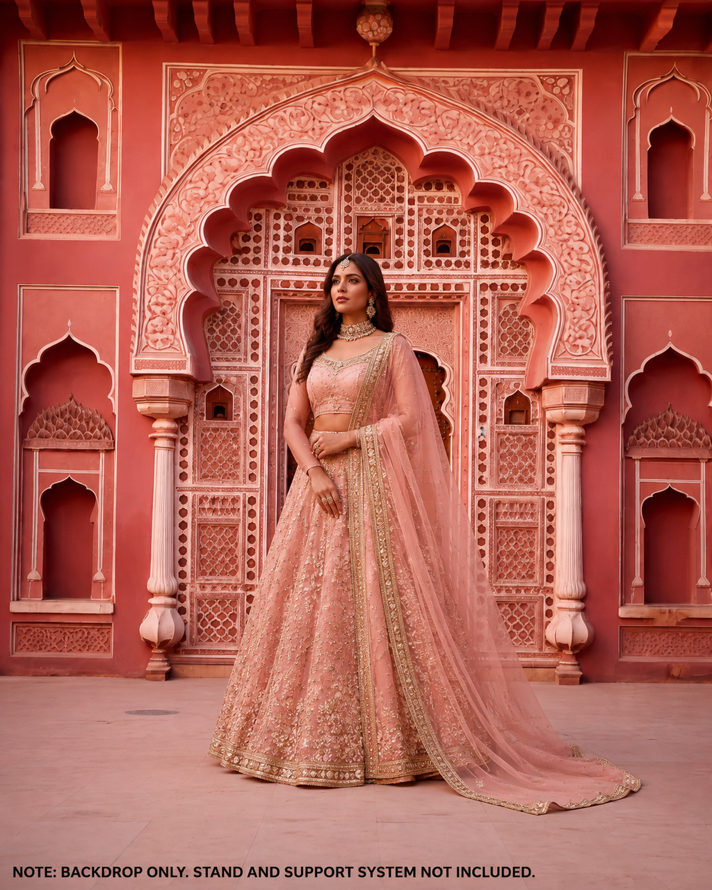 Royal Pink Palace Door Backdrop