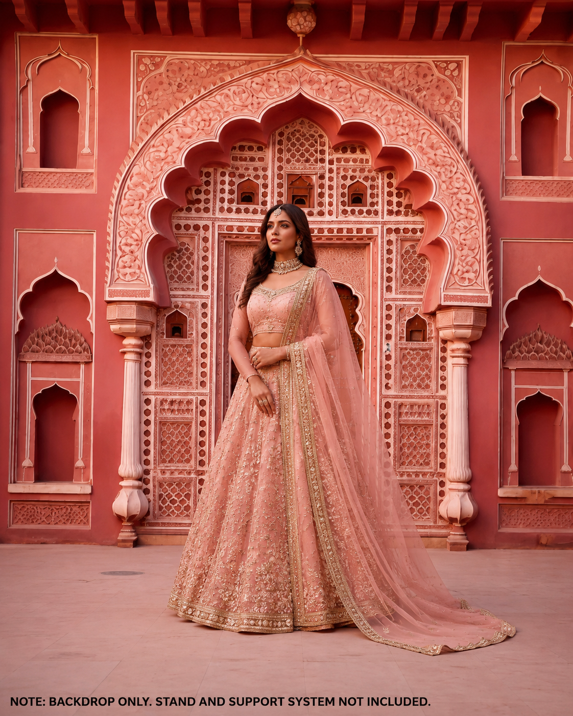 Royal Pink Palace Door Backdrop